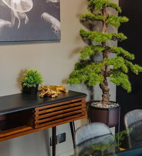 Super Anadia - Golden * Funchal (Madeira)