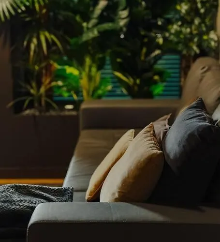 Super Anadia - Golden *