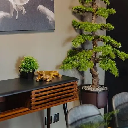 Super Anadia - Golden * Funchal (Madeira)