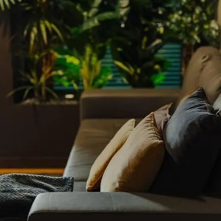 Super Anadia - Golden *